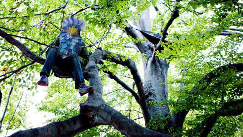 Resultado de imagen de Se sube a un árbol disfrazado de pájaro y caga sobre dos personas