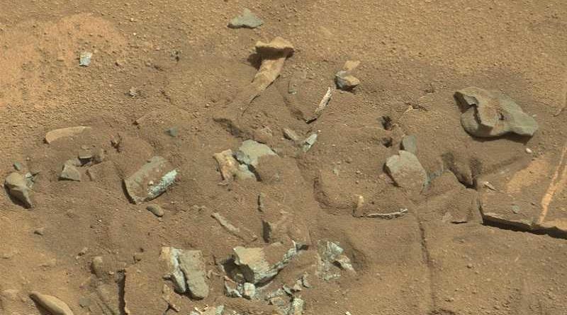 La NASA encuentra restos de dinosaurio en Marte