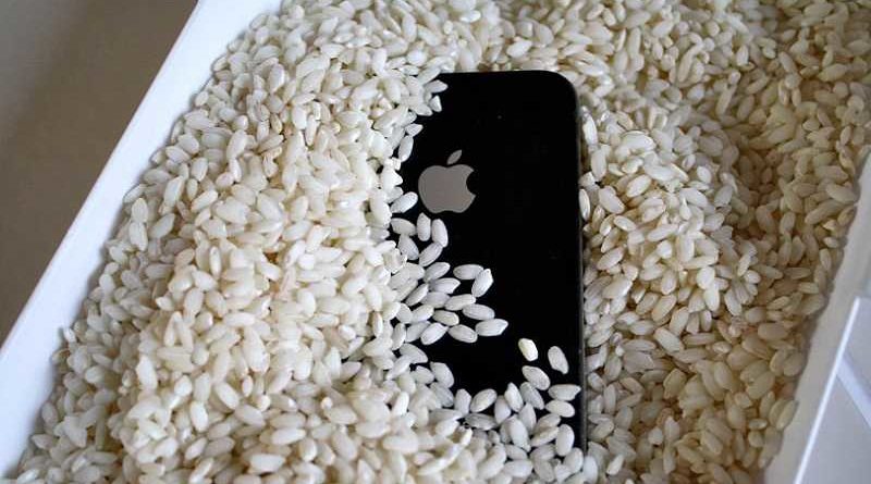 Mete en arroz su iPhone X y acaba en una paella gigante