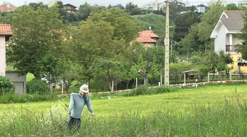 Detenido ganadero por tener dado de alta a un espantapájaros en su empresa durante años