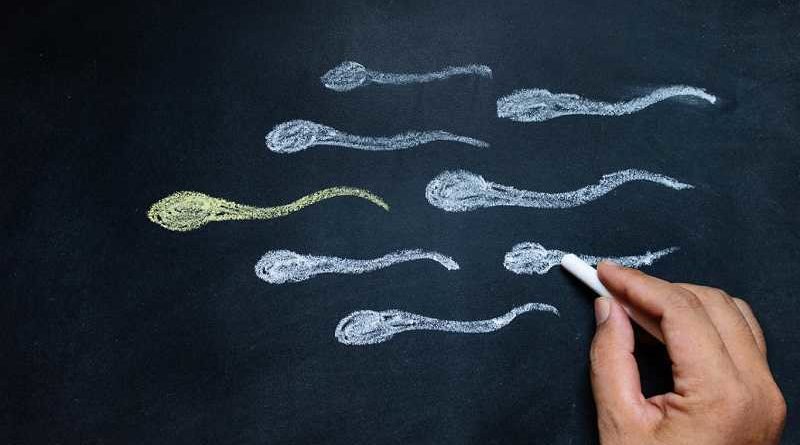 Científicos alertan que retener el semen podría dejar embarazo al hombre
