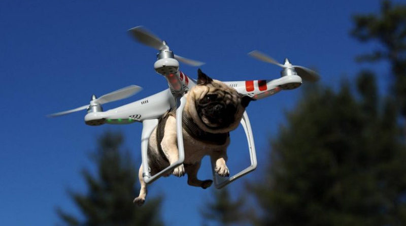Denunciado por sacar a pasear el perro con el dron
