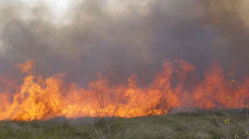 Celebra que ha aprobado las oposiciones de bombero con una barbacoa y calcina más de 10 hectáreas