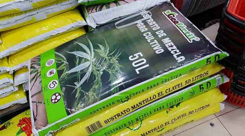 Utiliza fertilizante de marihuana y consigue que sus verduras sean estupefacientes